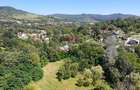 Teren Intravilan 8.277 mp Provița de Jos – Utilități, Râu & Pădure - 13