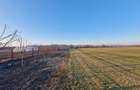 Teren intravilan de vanzare, 7300 mp, Dej - 3