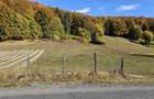De vanzare teren intravilan 5.200 mp front 40 m DN10 Teliu, Brasov
