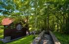 Mountain Chalet | Private Resort | Investment - Nistoresti - 12