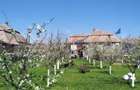 Casa 6 camere, 250 mp, zona Luncani - 4