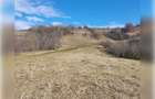 Teren de exceptie 3,1 ha intravilan | Panorama, utilitati, acces dublu | Sardu - 6