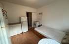 Apartament cu o camera, 16 mp utili, etajul 2, mobilat - Buziasului - 1
