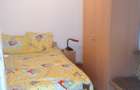 Singureni Stejaru casa intre paduri, cu teren 1600mp - 8