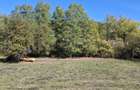 Teren intravilan 1000 m Sancraiul Almasului