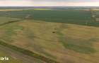 Teren investi?ional strategic 44.700 mp Arad Vest - 7