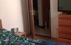 Apartament 3 camere Pantelimon-Aleea Mozaicului - 10