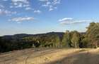 Teren de vanzare, 7300 mp, acces pavat - 7