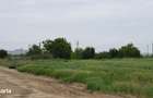 Teren de vanzare 38.500 mp, acces la centura Buftea - 5