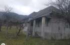 Copalnic Manastiur ,casa cu gaz+curent bransat si 10 ari gradina - 9