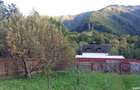 Teren de vanzare Brezoi, Pascoaia, Valcea - 9