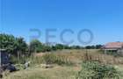 RECO Teren intravilan in Paleu la doar 22euro/mp - 4