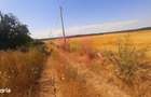 Teren pentru casa/case in Branesti pe strada Toporasi - 15
