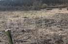 Teren intravilan de vanzare, 9783 mp, Paleu zona Iacului