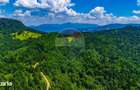 Refugiu in natura la Sacele | Teren 7.000 mp cu rau | Comision 0% - 6