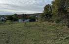 Teren Colonia Valea Fanatelor - 5