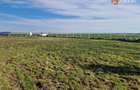 Teren extravilan de 3500 mp de vanzare in Remetea Mare - Remetea Mare (Timis)