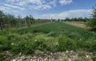 Vand teren 1600 m2, Dragomire?ti Dambovita - 5