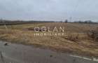 Teren extravilan 11.300 mp, front 39 m, Selimbar - 2