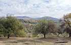 De vanzare teren cu vedere la munte