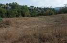 Teren intavilan Campina, 4350 mp. - 5