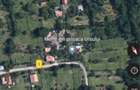 Teren 1600 mp intravilan Podu Cheii langa Baraj Paltinu si Valea Doftanei,viitoare ruta alternativa Valea Doftanei Brasov,ideal pentru A-frame - 3