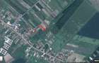 Tartasesti - Biserica Noua, teren extravilan, suprafata 5.000 mp - 1