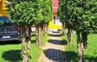Casa de vanzare Sat Magura, pret negociabil - 5