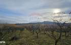 Teren extravilan 10,791mp Falticeni / Strada DJ209A, Opriseni
