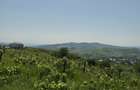 Teren intravilan Tomesti-Goruni - 1