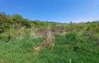 Teren intravilan de vanzare, 6200 mp, zona Viisoara, langa Metaller - 1