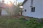 Doua case ,2000 mp teren,Slatioarele,Babana,Arges - 7