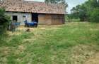 Vand casa in satul Feldiora