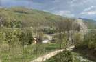 Teren vedere panoramică lac Paltinu si dealuri împădurite in Valea Doftanei - 11