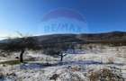 Teren 5,054mp intravilan - Strada Dealul Malului / Ramnicu Valcea - 3