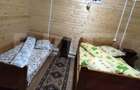Cabana de vacan?a in Garda de Sus, 4 camere, 1.002 mp teren - 3
