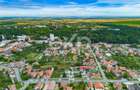 Casă spațioasă cu livadă în Buziaș - 18