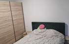 inchiriere apartament 2 camere Liviu Rebreanu 181 - 2