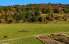 Teren SUPERB la munte, INTRAVILAN, statiunea Covasna