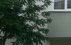 Apartament 2 Camere/ Unirii Mall Vitan - 4
