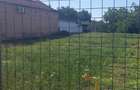 Vand loc de casa in Vladimirescu - 1