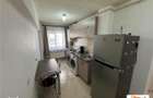 Apartament cu 2 camere de inchiriat in Alba Iulia Cetate - 9