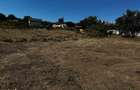 Teren intravilan de vanzare sat. Vi?an, Com. Barnova, Ia?i 1.600 mp - 6