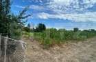 Teren intravilan, 6796 mp, zona Crangurile de Jos - 8