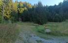 Teren intravilan la munte - 6