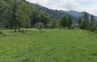Vand teren intravilan 5.000 mp Sat Brate?, Com. Tarcau, Jud. Neam? - 6