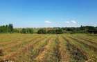 Teren intravilan Adunatii Copaceni | 3.399 mp | Ideal investitie - 7