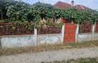 Casă cu 4 camere în Baia de Fier - 3