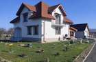 Casă cu Teren 2400 Mp în Vărădia de Mureș - 7