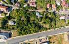 Oportunitate: Teren intravilan de vanzare, 7.000mp - Hanul 3 Sarmale - 8